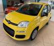 Fiat Panda Pandina 1.0 firefly hybrid Pop s Gelb - thumbnail 1