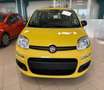 Fiat Panda Pandina 1.0 firefly hybrid Pop s Gelb - thumbnail 2