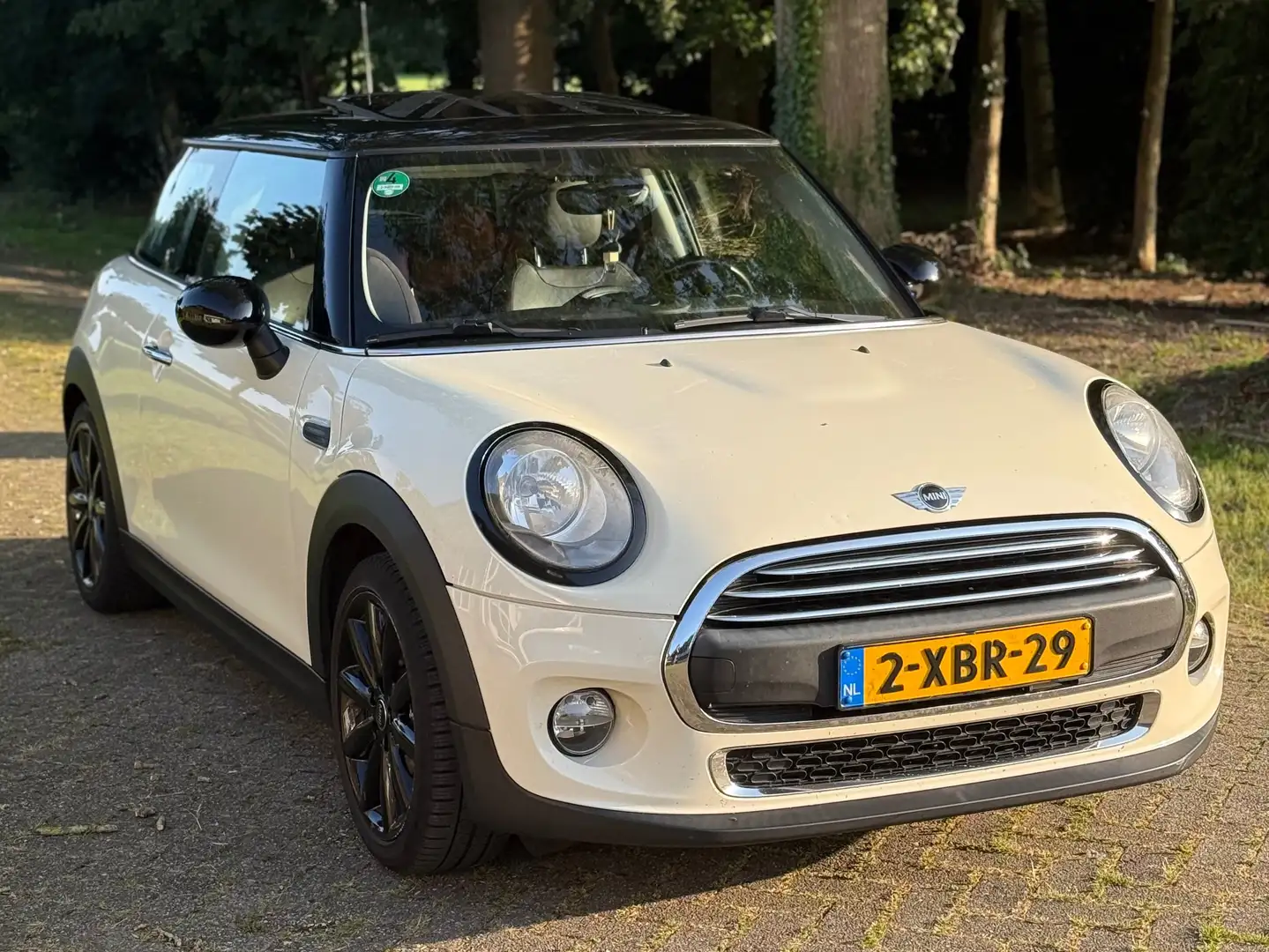 MINI One D One D 1.5 Chili Wit - 2