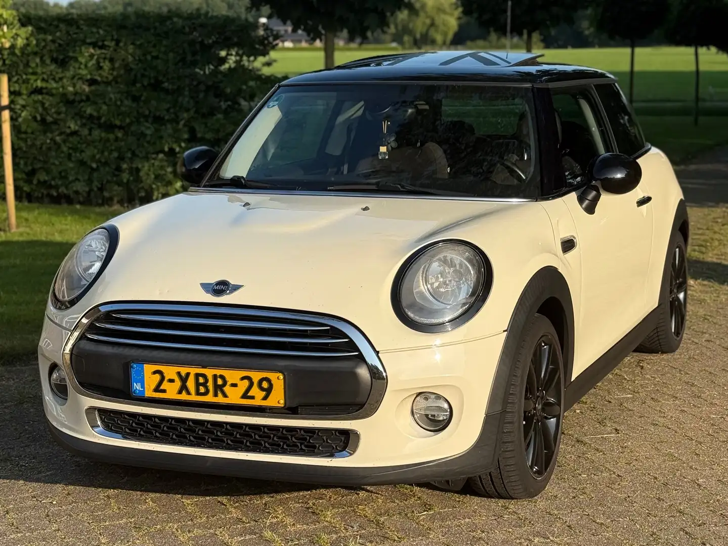 MINI One D One D 1.5 Chili Wit - 1