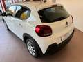 Citroen C3 C3 BlueHDi 100CV VAN 2 POSTI IMPECCABILE Blanc - thumbnail 6
