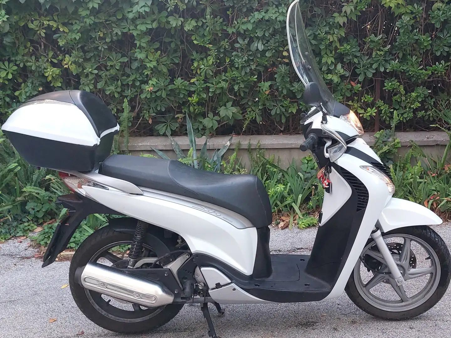 Honda SH 125i Bianco - 1