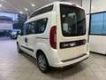 Fiat Doblo Doblo II 2015 1.6 mjt 16v Pop 120cv Bianco - thumbnail 7