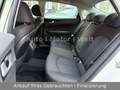 Kia Optima Edition 7  1.Hand NAV/R-CAM/TPMT/PDCvo+hi Weiß - thumbnail 10