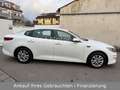 Kia Optima Edition 7  1.Hand NAV/R-CAM/TPMT/PDCvo+hi Weiß - thumbnail 8