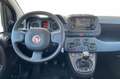 Fiat Panda 3ª serie 1.0 FireFly S&S Hybrid Grigio - thumbnail 14