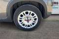 Fiat Panda 3ª serie 1.0 FireFly S&S Hybrid Grigio - thumbnail 8
