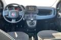 Fiat Panda 3ª serie 1.0 FireFly S&S Hybrid Grigio - thumbnail 13