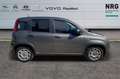 Fiat Panda 3ª serie 1.0 FireFly S&S Hybrid Grigio - thumbnail 3