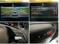 Skoda Kamiq Monte Carlo 1.5 TSI DSG App Kamera Kessy Noir - thumbnail 14