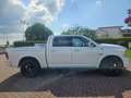 Dodge RAM 5.7 HEMI LARAMIE Bianco - thumbnail 4
