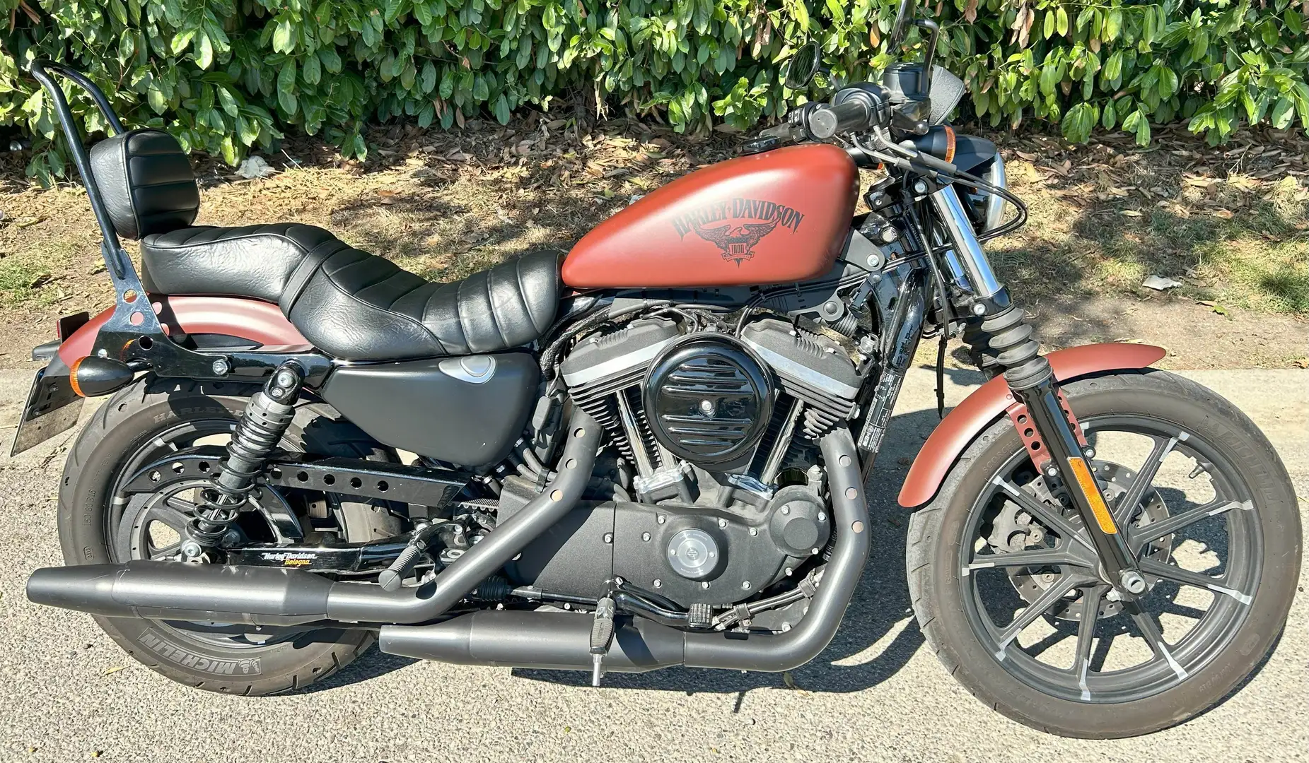Harley-Davidson Iron 883 Barna - 1