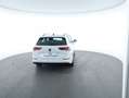 Volkswagen Golf Variant Golf VIII Variant 2.0 TDI Life ASSIST+CARPLAY+LM Weiß - thumbnail 26