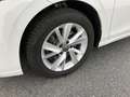 Volkswagen Golf Variant Golf VIII Variant 2.0 TDI Life ASSIST+CARPLAY+LM Weiß - thumbnail 4