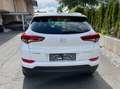 Hyundai TUCSON Tucson 1,6 GDI GO! GO! Weiß - thumbnail 5