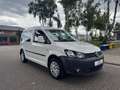 Volkswagen Caddy Kasten/Kombi Trendline EcoFuel Erdgas Bianco - thumbnail 2