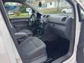 Volkswagen Caddy Kasten/Kombi Trendline EcoFuel Erdgas Weiß - thumbnail 18