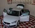 SEAT Leon TSI Style / ACC / LED / WINTER-PAKET Weiß - thumbnail 8