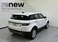 Land Rover Range Rover Evoque 2.0eD4 Pure 2WD 150 Blanco - thumbnail 2