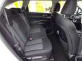 Kia Sorento 1.6 T-GDi aut. AWD PHEV Style Blanc - thumbnail 15