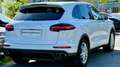 Porsche Cayenne II S *TOP-Ausstattung +Servicegepflegt PHEV Hybri Weiß - thumbnail 5