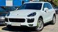 Porsche Cayenne II S *TOP-Ausstattung +Servicegepflegt PHEV Hybri Weiß - thumbnail 1