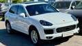 Porsche Cayenne II S *TOP-Ausstattung +Servicegepflegt PHEV Hybri Weiß - thumbnail 32