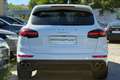 Porsche Cayenne II S *TOP-Ausstattung +Servicegepflegt PHEV Hybri Weiß - thumbnail 6