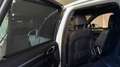 Porsche Cayenne II S *TOP-Ausstattung +Servicegepflegt PHEV Hybri Weiß - thumbnail 16