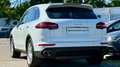 Porsche Cayenne II S *TOP-Ausstattung +Servicegepflegt PHEV Hybri Weiß - thumbnail 9