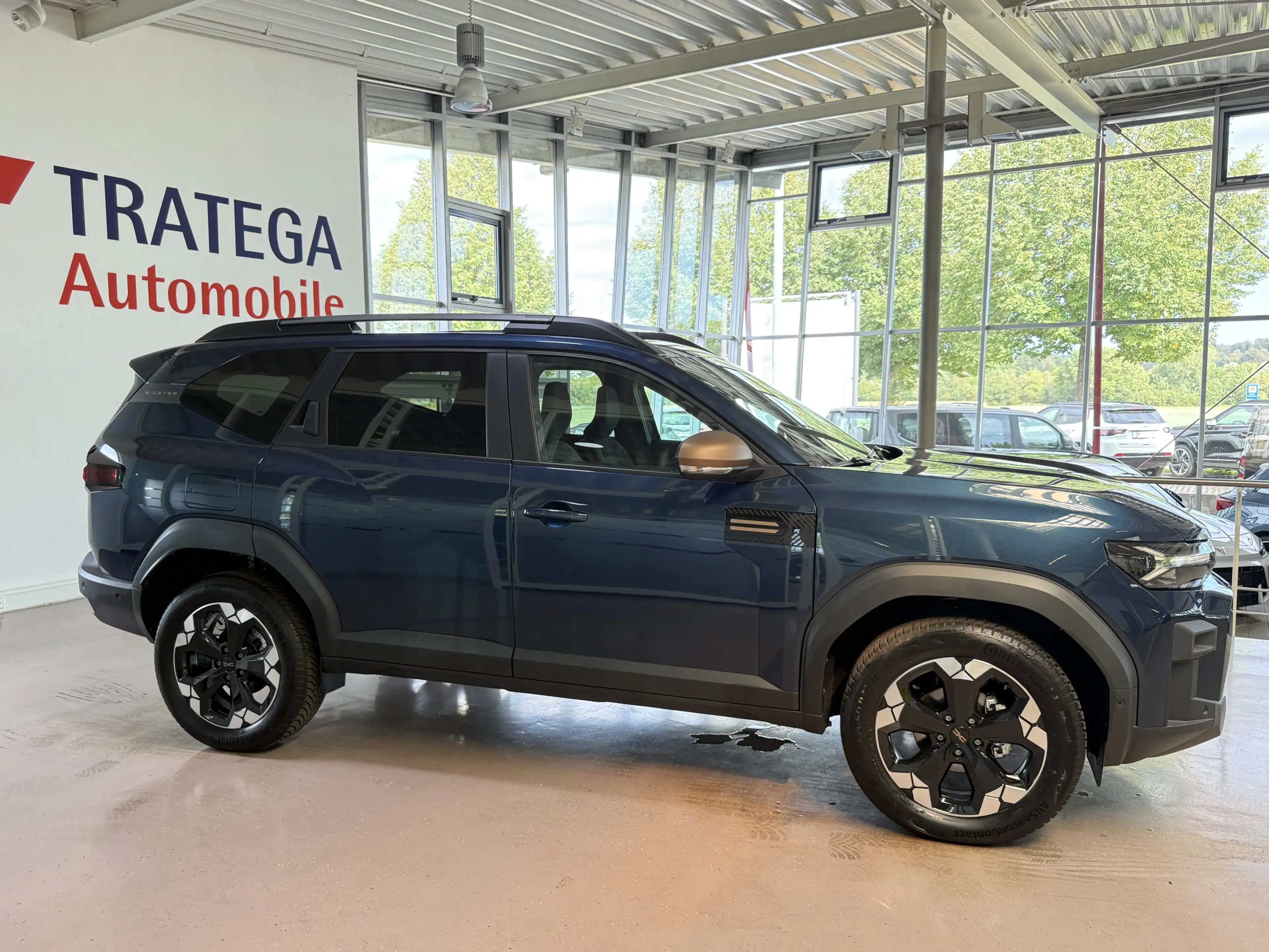 Dacia Extreme 4x4 SH LHZ 360° TW Pano el.Heckk — photo 8