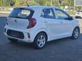 Kia Picanto Picanto 1,0 MPI Titan Titan Weiß - thumbnail 3