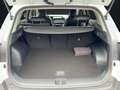 Kia Sportage SPORTAGE 1.6T 48V 2WD DCT VISON KOMFORT Weiß - thumbnail 14