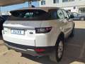 Land Rover Range Rover Evoque 2.0TD4 SE 4WD 150 Bianco - thumbnail 4