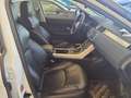 Land Rover Range Rover Evoque 2.0TD4 SE 4WD 150 Bianco - thumbnail 6