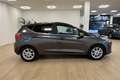 Ford Fiesta 1.1 75 CV GPL 5 porte Titanium Gris - thumbnail 4