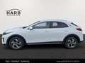 Kia XCeed /SILBER/1.0 TGDI/MT6/115/MY26 Weiß - thumbnail 9