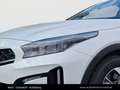 Kia XCeed /SILBER/1.0 TGDI/MT6/115/MY26 Weiß - thumbnail 11
