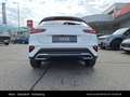 Kia XCeed /SILBER/1.0 TGDI/MT6/115/MY26 Weiß - thumbnail 17