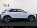 Kia XCeed /SILBER/1.0 TGDI/MT6/115/MY26 Weiß - thumbnail 10