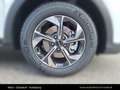 Kia XCeed /SILBER/1.0 TGDI/MT6/115/MY26 Weiß - thumbnail 13