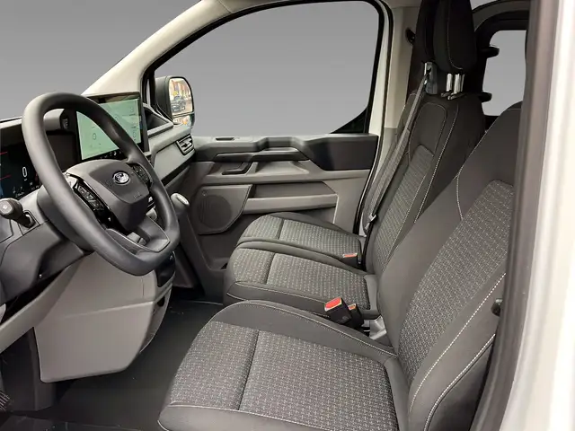 Ford Custom view 9