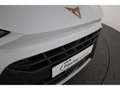 CUPRA Terramar 1.5 eTSI DSG HUD/KESSY/360°/el.Klappe Weiß - thumbnail 28
