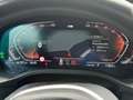 BMW X4 M Sport 30d MHEV IVA ESP Grigio - thumbnail 12