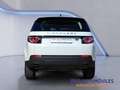 Land Rover Discovery Sport 2.0TD4 Pure 4x4 Aut. 150 Weiß - thumbnail 6