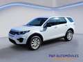 Land Rover Discovery Sport 2.0TD4 Pure 4x4 Aut. 150 Weiß - thumbnail 1