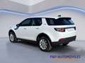 Land Rover Discovery Sport 2.0TD4 Pure 4x4 Aut. 150 Weiß - thumbnail 8