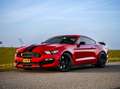 Ford Mustang SHELBY GT350 1 owner Collectors item Rouge - thumbnail 2