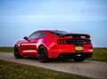 Ford Mustang SHELBY GT350 1 owner Collectors item Rouge - thumbnail 4