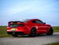 Ford Mustang SHELBY GT350 1 owner Collectors item Rouge - thumbnail 3